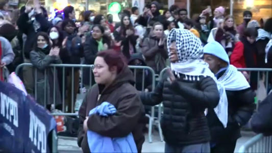 Pro-Palestinian protesters arrested during Columbia University protest released<br><br>