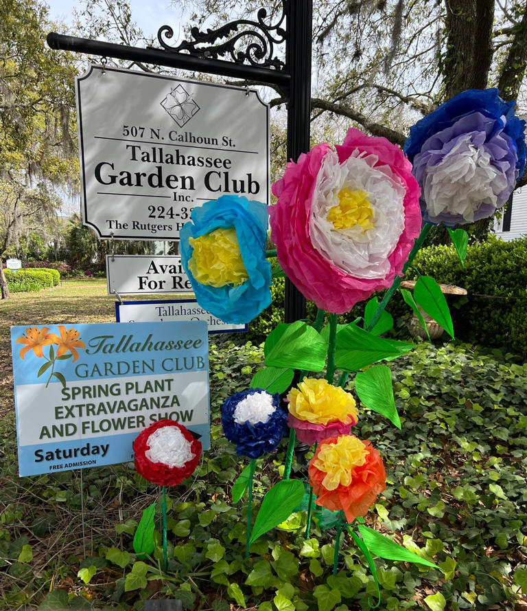 Flower Power: Tallahassee Garden Club puts the wow into plant extravaganza