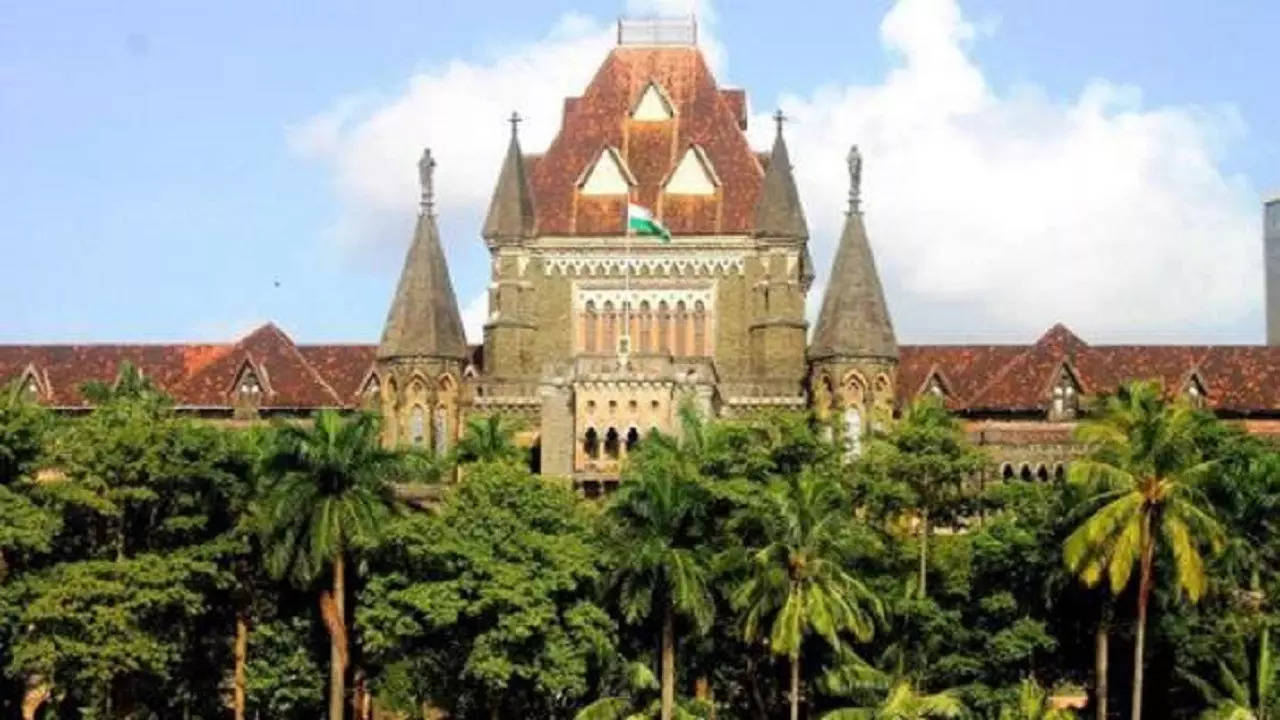 'adultery ground for divorce but not for child custody': bombay high court
