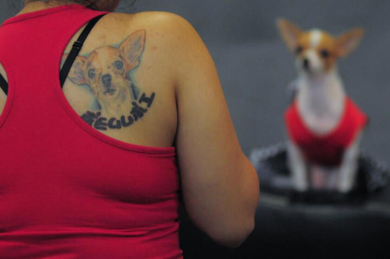 PetSmart contest offers to cover up bad tattoos with a pic of your pooch