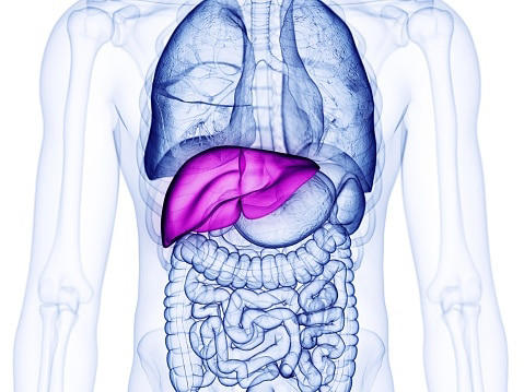 World Liver Day: Hepatitis B is 50 to 100 times more infectious than HIV