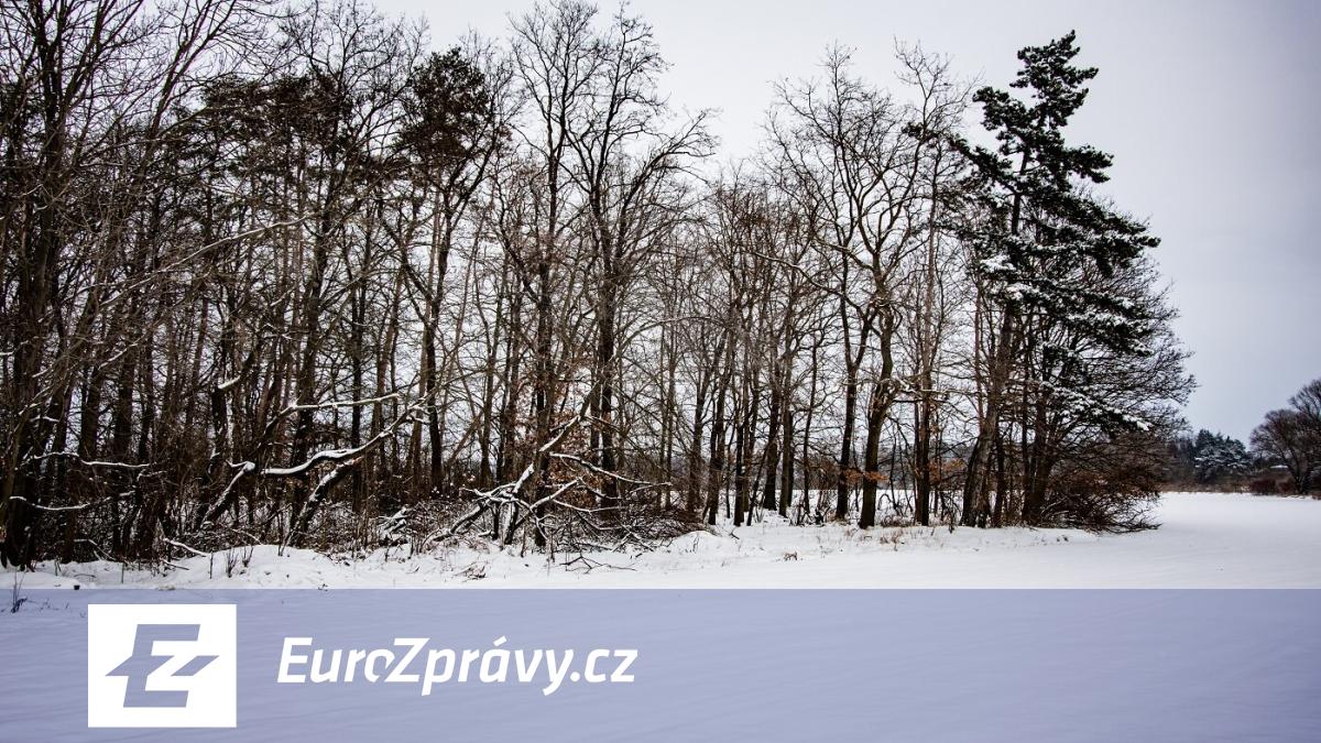 počasí: zima se vrátila do česka. meteorologové upřesnili platná varování