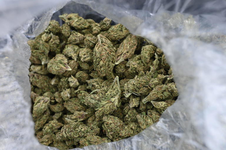 A woman tried to board an United Airlines flight at the Memphis International Airport with 56 pounds of marijuana in her luggage, reports state.