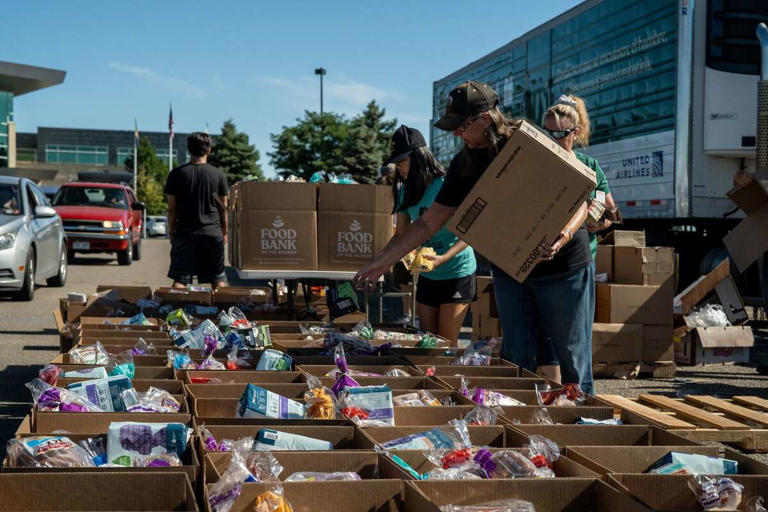 A Guide to Volunteering and Helping Others in Denver