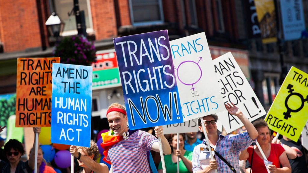 <p>The transgender rights movement began gaining momentum in the 1970s. Activists fought for legal protections and against pathologization by medical and psychiatric institutions.</p><p>The 21st century has seen significant strides in transgender rights and recognition. More children can now socially and medically transition at younger ages with the support of their families and doctors.</p>