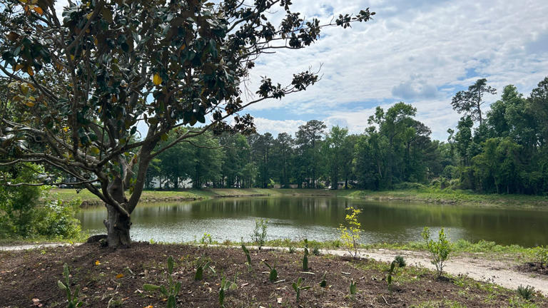 West Ashley launches South Carolina's first edible forest, tackling ...