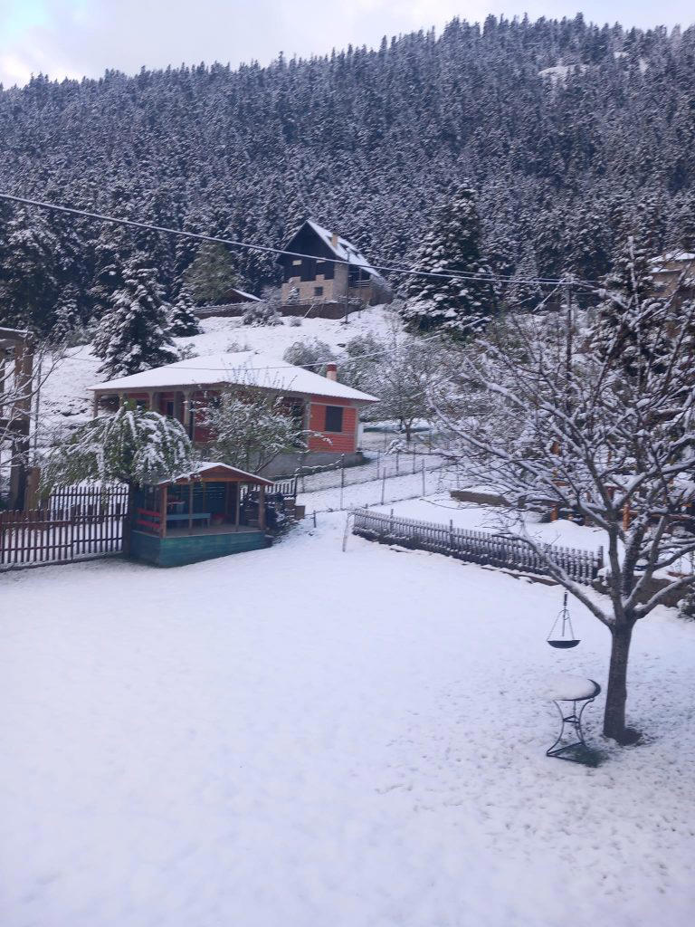 Κακοκαιρία: Πυκνή χιονόπτωση στο Περτούλι Τρικάλων – Δείτε φωτογραφίες