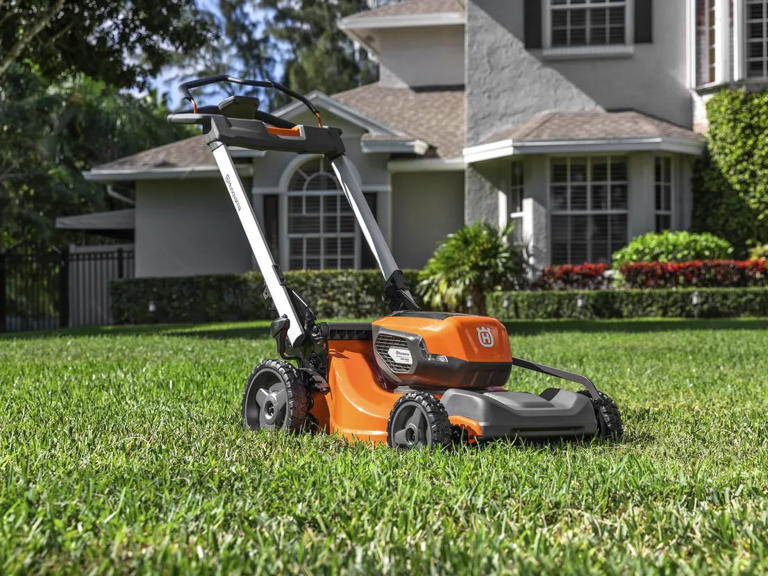 The 5 best electric lawn mowers of 2024