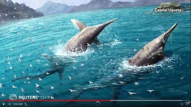 地球最大級・新種の魚竜を発見！体長26ｍ クジラ並みの“頂点捕食者”か 2億200万年前に生息、英で化石発見