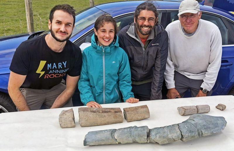 fosil reptil laut raksasa 'sebesar dua bus' ditemukan di pantai inggris