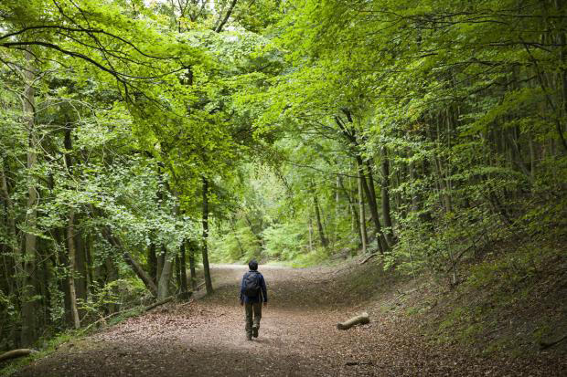 The South Downs Way walk should take around 7-10 days to complete (Image: Getty Images)