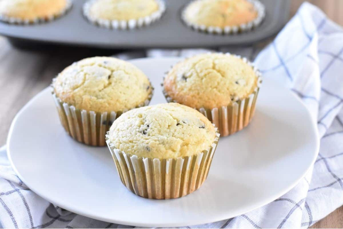 <p>These chocolate chip muffins are a surefire crowd-pleaser, providing the classic taste of chocolate in a gluten-free format. Whether you need a quick breakfast on the run or a sweet snack to satisfy your cravings, these muffins deliver. With their simple preparation, you’ll spend less time in the kitchen and more time enjoying the rich, chocolaty goodness they offer. Perfect for busy days or whenever you need a portable treat, these muffins are a deliciously convenient option for any occasion.<br><strong>Get the Recipe: </strong><a href="https://trinakrug.com/keto-chocolate-chip-muffins/?utm_source=msn&utm_medium=page&utm_campaign=msn">Chocolate Chip Muffins</a></p>
