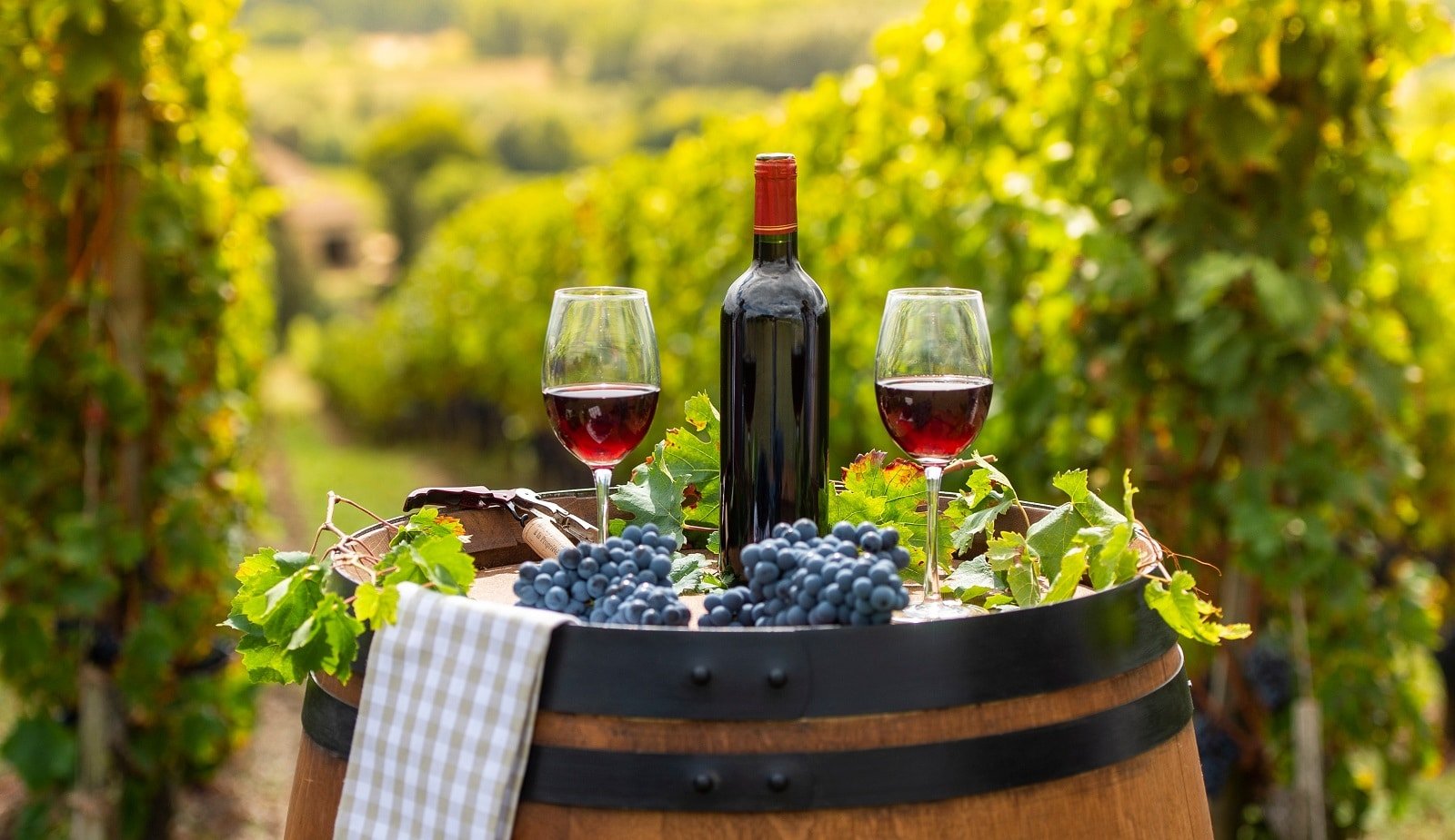 <p>French wines are celebrated across the globe. Regions like Bordeaux, Champagne, and Burgundy offer vineyard tours and tastings that attract connoisseurs and novices alike.</p>