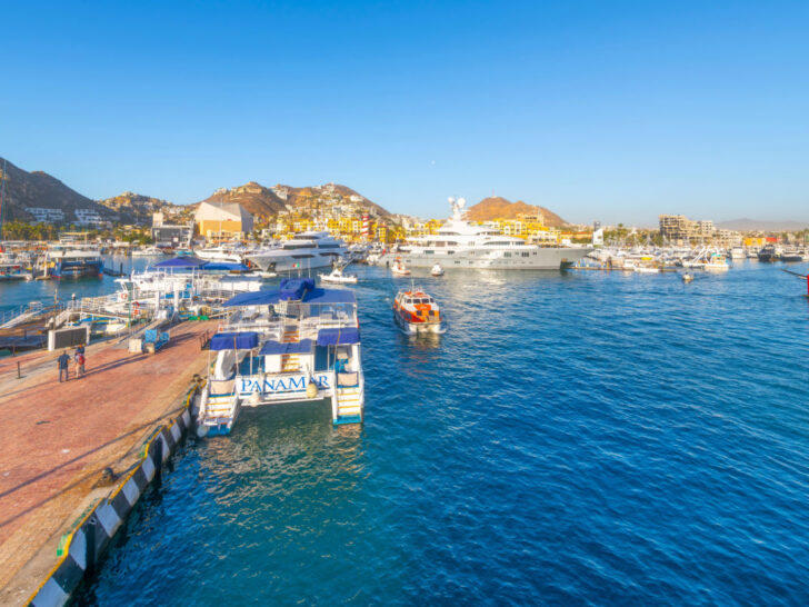 Cabo San Lucas Marina Reopens For Tourist Activities 