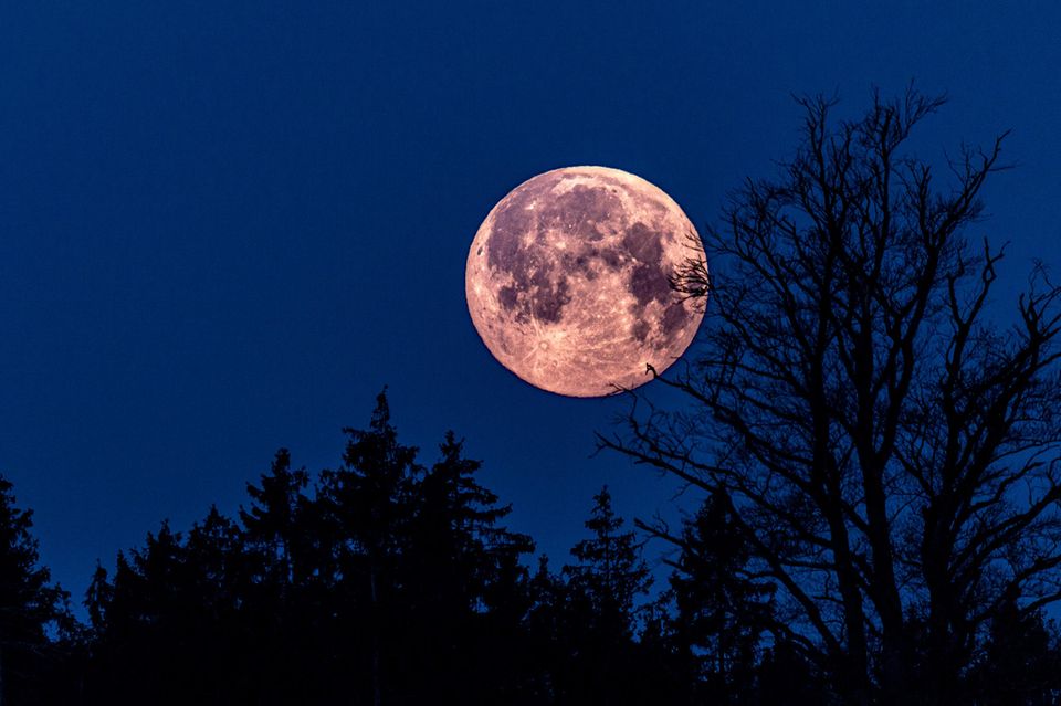 vollmond-horoskop am 24.4. : diese sternzeichen entfalten unter dem pink moon ihr volles potenzial