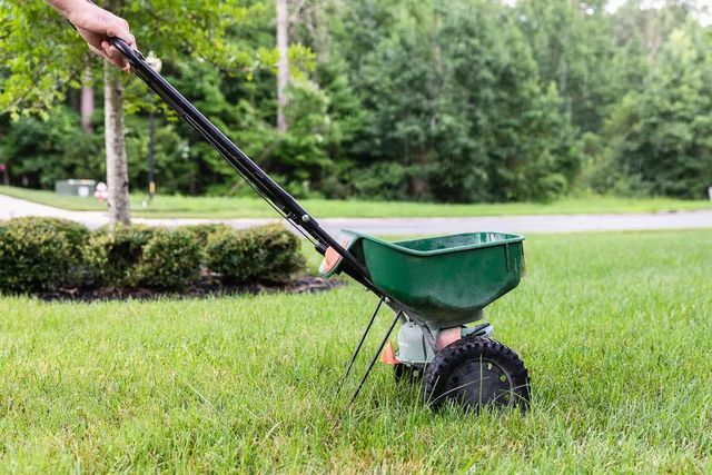 5 mistakes you should never make when fertilizing your lawn, a pro warns