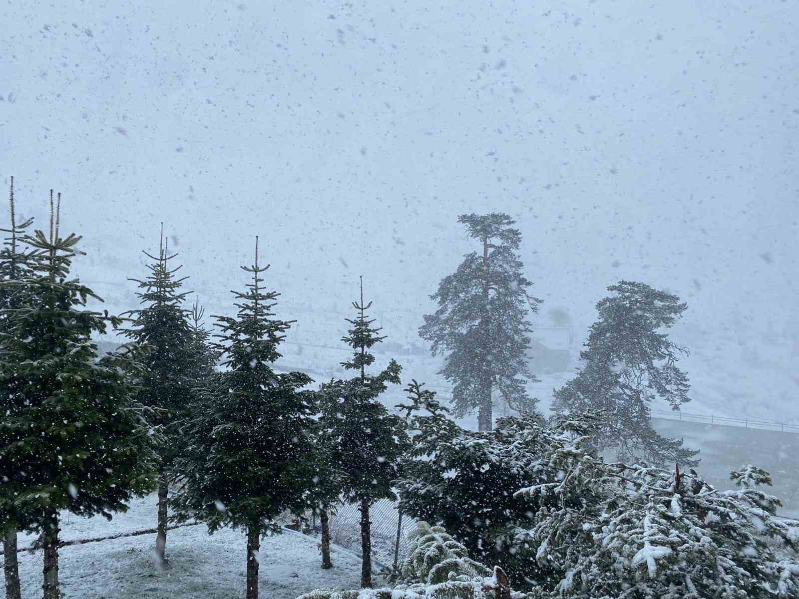 bolu’da nisan ayında lapa lapa kar yağışı