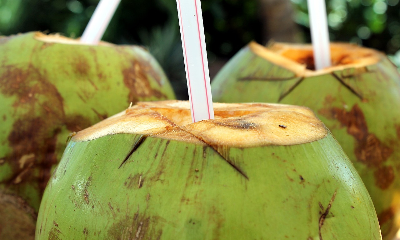 is coconut water a good substitute for plain water?