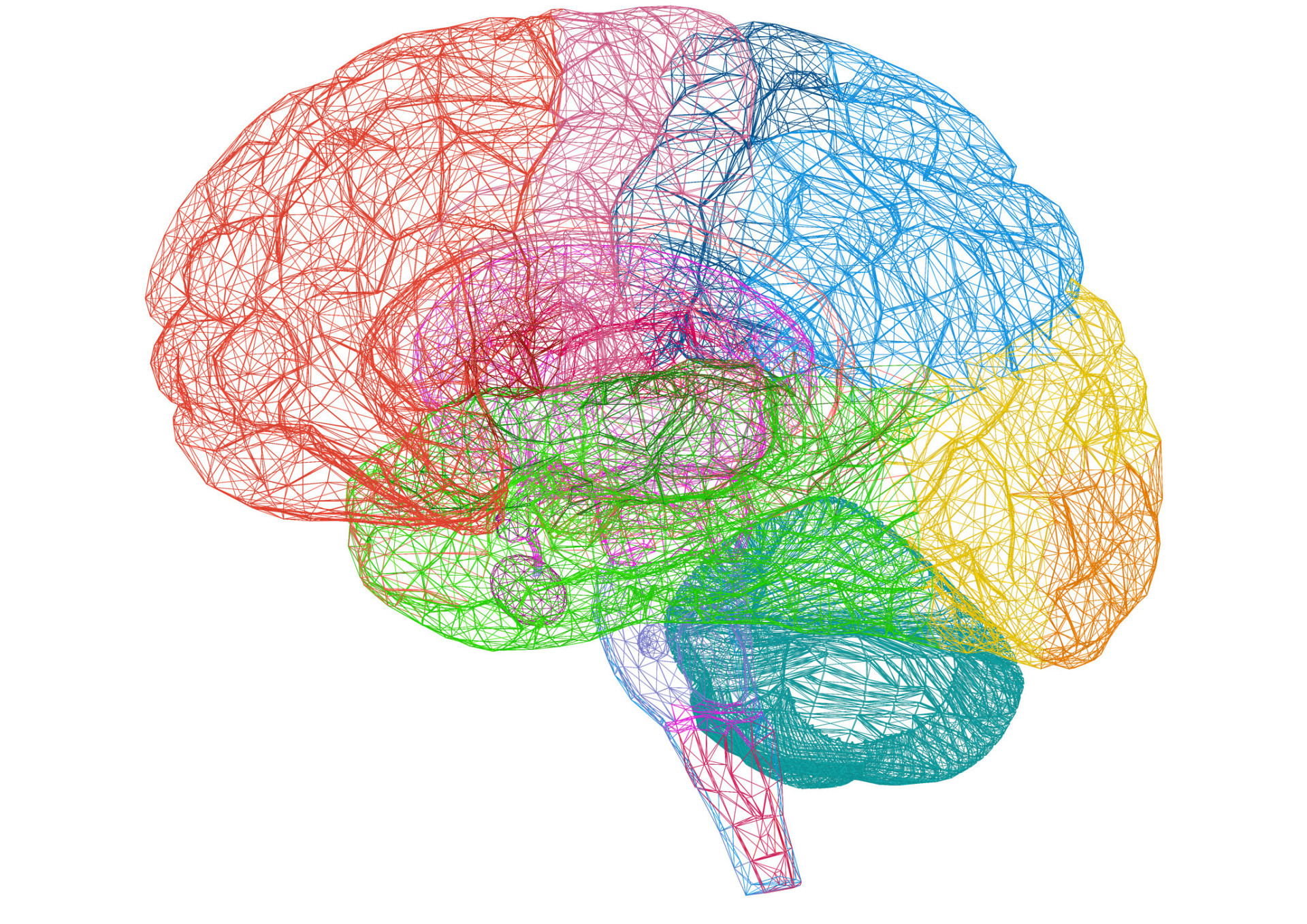 脳は人類が知る限り最も複雑な構造をしています。
