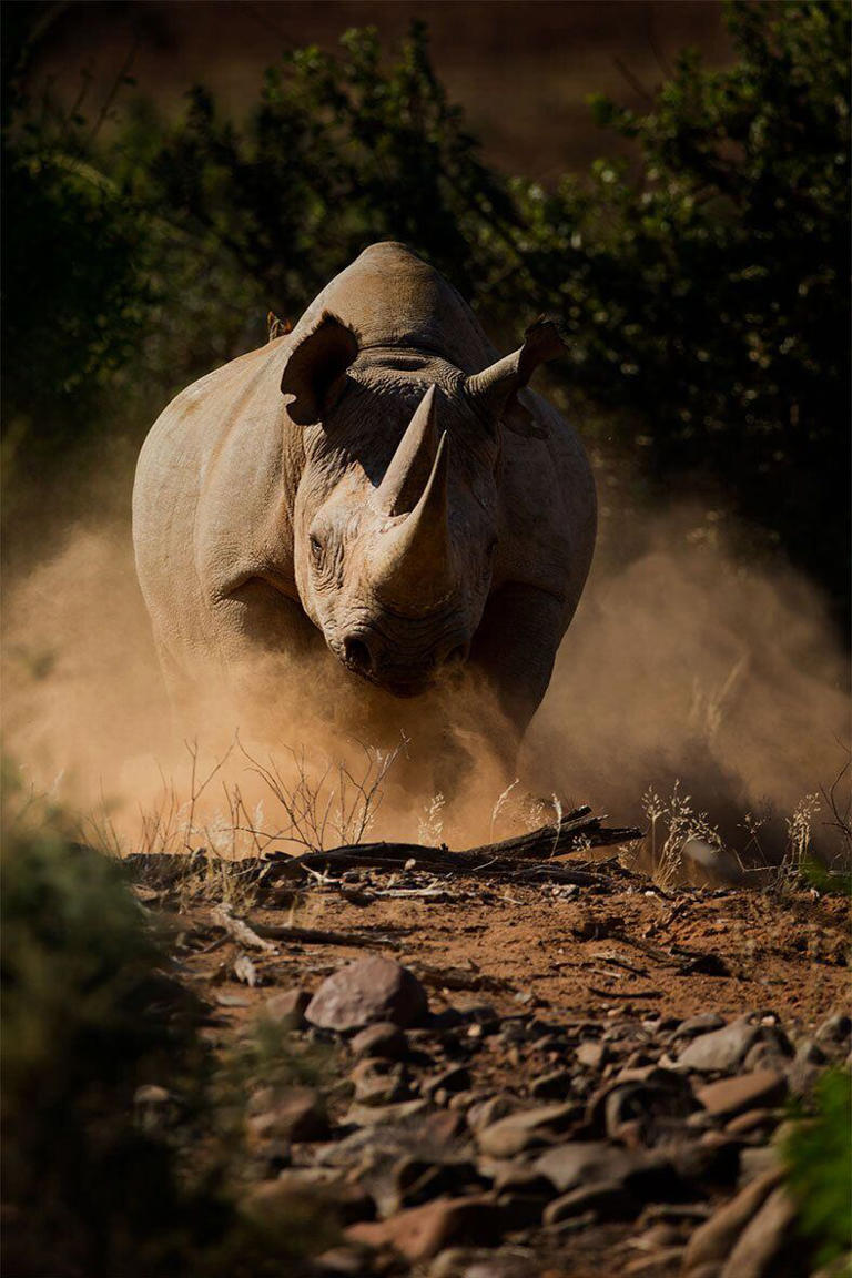 En fotos: ¡Experiencias de lujo! Cuatro nuevas formas de descubrir África