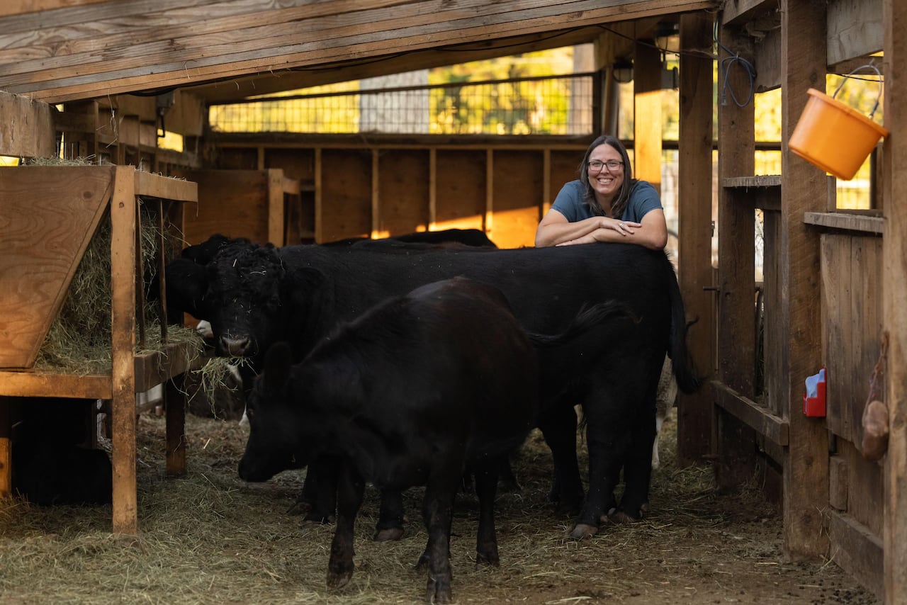 Canadian Farmers Take Precautions As Bird Flu Outbreaks Hit U.S. Dairy ...