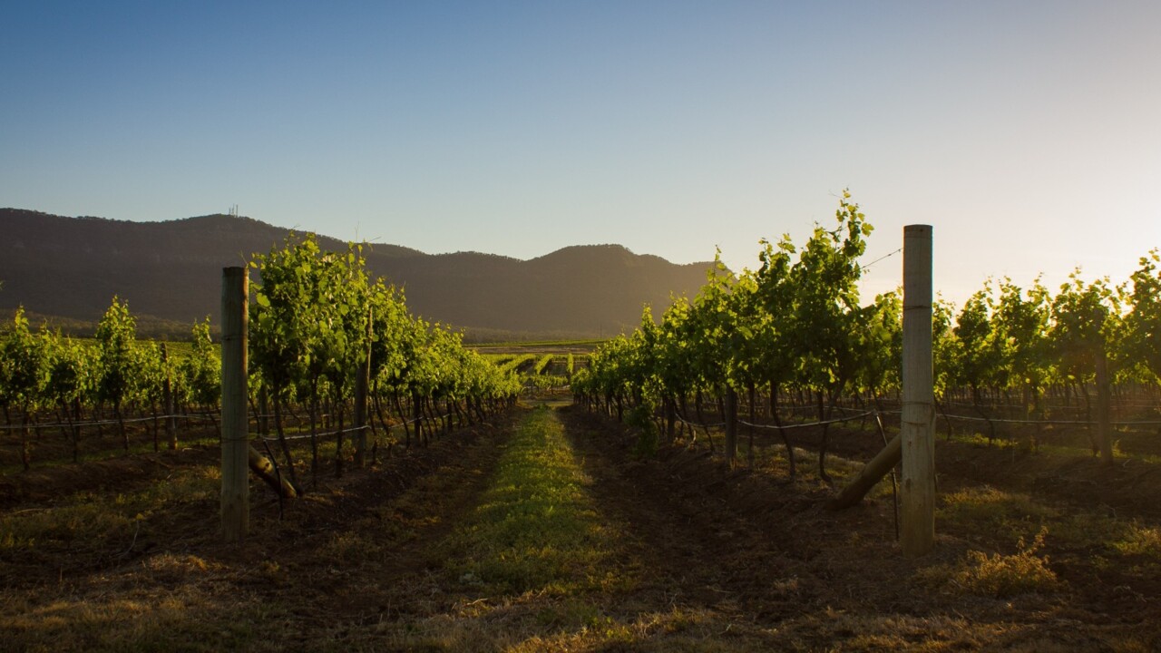 victorian wine growers fear solar farm will ‘decimate’ heathcote tourism