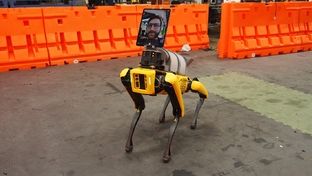 boston dynamics dévoile atlas, son robot électrique qui sera utilisé dans les usines hyundai