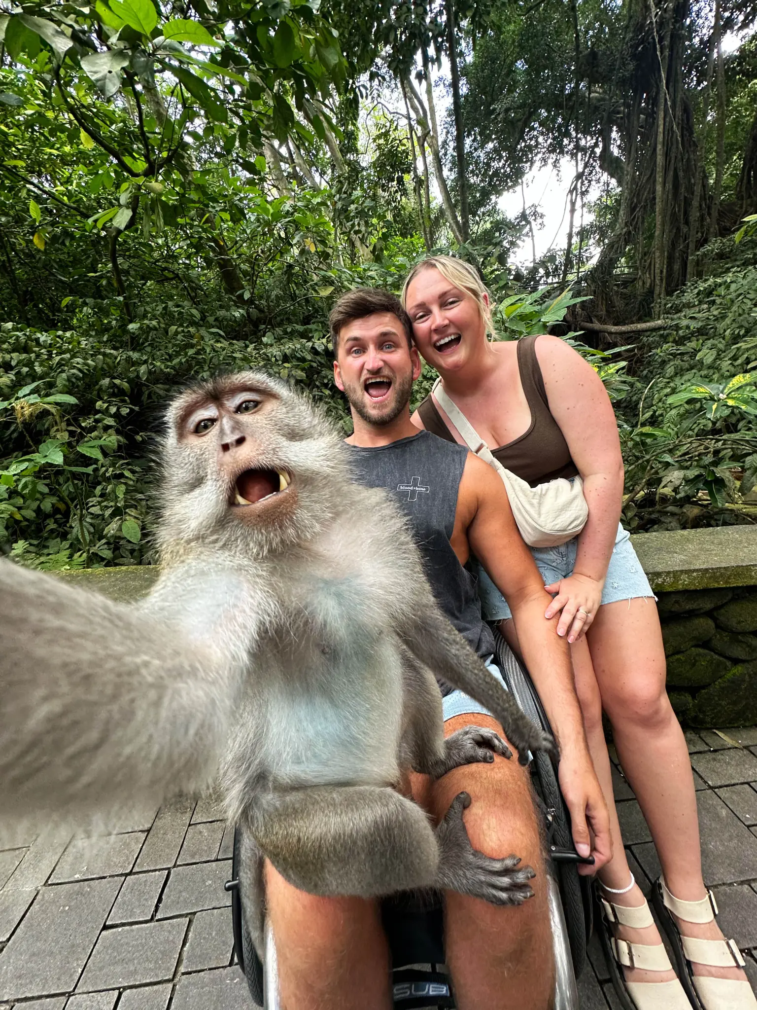 πίθηκος βγάζει selfie με τουρίστες στο μπαλί και «ρίχνει» το διαδίκτυο