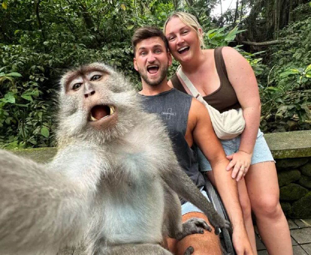 πίθηκος βγάζει selfie με τουρίστες στο μπαλί και «ρίχνει» το διαδίκτυο