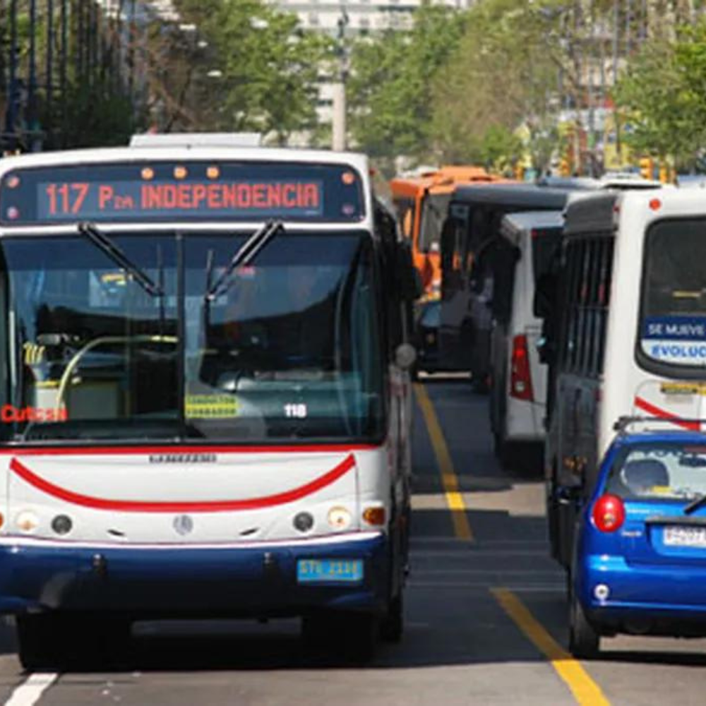transporte suburbano: cómo funcionará este lunes 22 de mayo