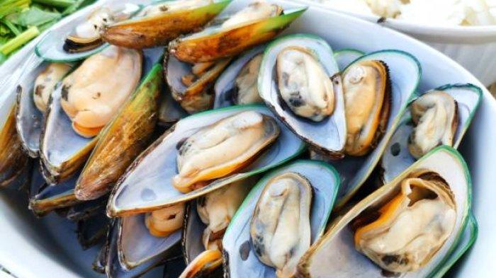 daftar peringkat makanan laut tersehat,dapat mencegah kerusakan sel hingga cegah penyakit jantung
