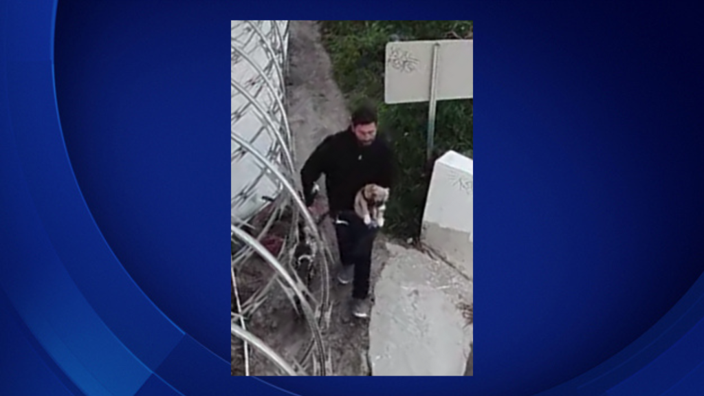 Man Caught On Camera Brutally Abusing Dog In Anaheim Arrested