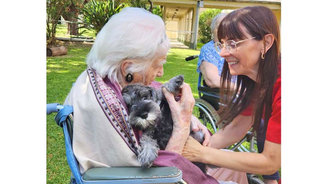 canoterapia: utilizan perros entrenados para mejorar la calidad de vida de los abuelos
