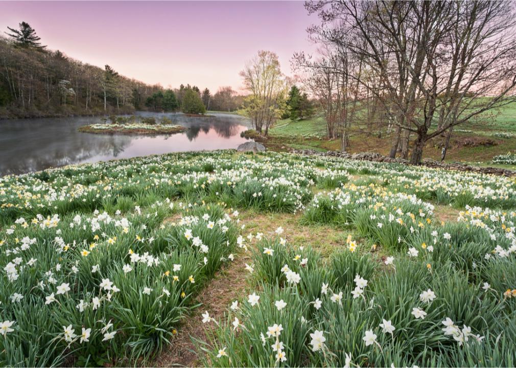 <p>While the weather can be hit-or-miss—sunny days can give way to dreary and cold, rainy ones—spring is still a great time to visit Connecticut's many historic homes or the waterfront Olde Mistick Village.</p>