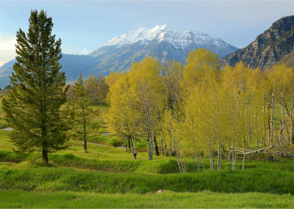 <p>One of Utah's most popular seasons, spring attracts visitors who love the appeal of skiing fresh powder in the morning and enjoying a round of golf or a hike in the afternoon. The weather is also perfect for exploring the state's myriad national parks, including the famous Arches.</p>