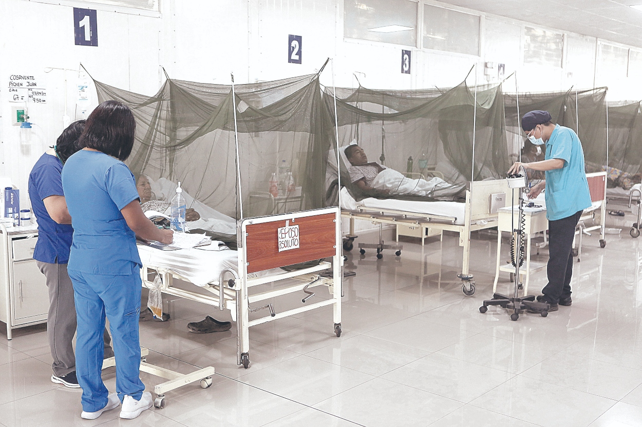 dengue: cifra de muertos se eleva a 146 y casos a 155.000 a nivel nacional