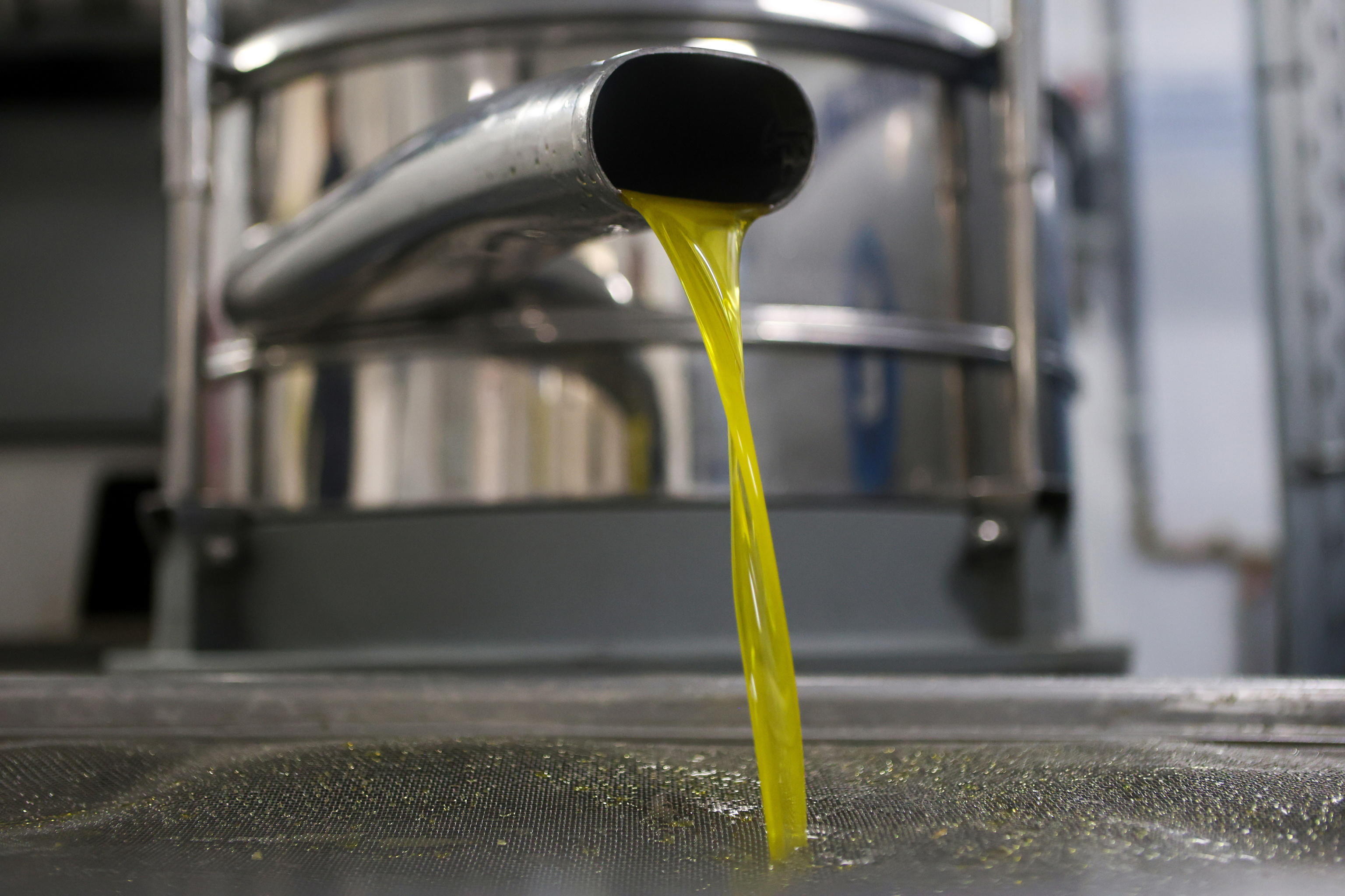 stop ai rincari dell'olio di oliva, -1% dopo 2 anni di record