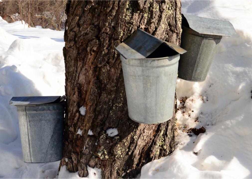 <p>Claude McKay's famed poem speaks of spring in the Granite State. As the days warm, nights remain chilly, which makes spring the perfect time for maple syrup: Hampshire Maple Month starts mid-March when more than 60 sugar houses open to the public to show the maple-sugaring process.</p>