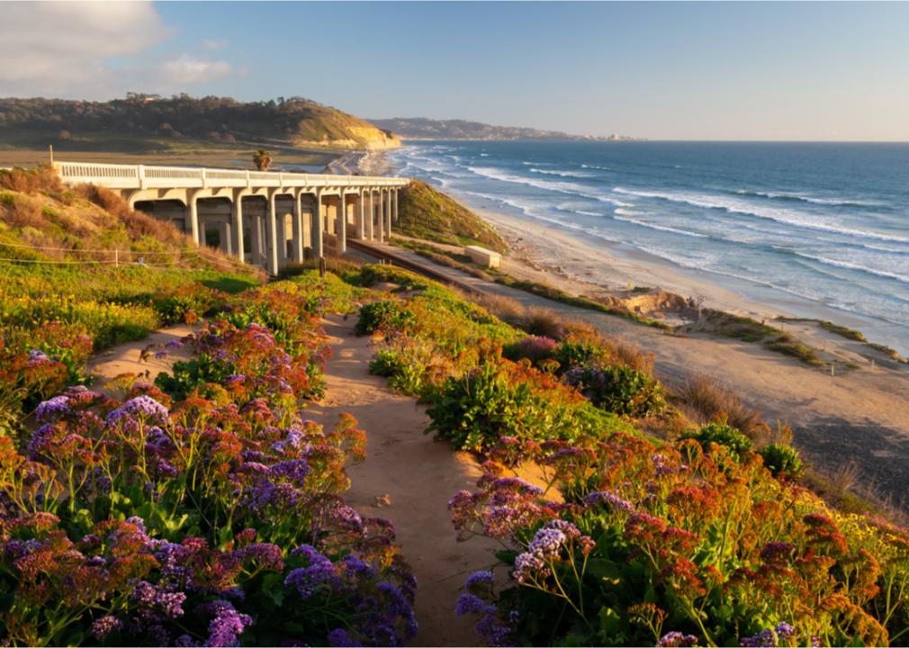 <p>While California's weather is generally good year-round, spring visitors are greeted by mostly fog-free coastal areas and wildflowers in full bloom. With the exclusion of spring break, spring means that some of the state's most popular destinations, such as San Francisco or Yosemite National Park, will have fewer crowds than summer.</p>