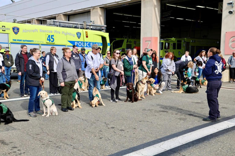 100 puppies visit Newark airport for guide dog training