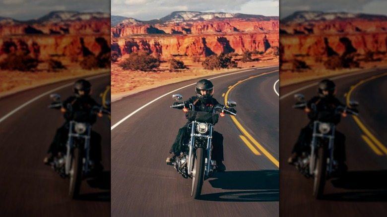 5 harley-davidson motorcycles for seasoned riders
