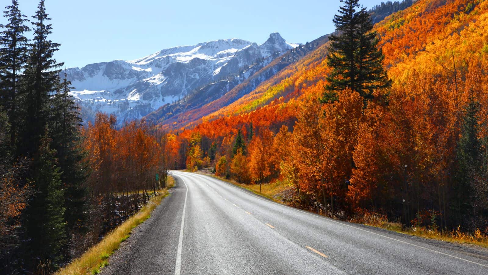 <p>Drive the thrilling Million Dollar Highway in Colorado, navigating steep cliffs, hairpin turns, and breathtaking views of the San Juan Mountains.</p><p>This 25-mile stretch of U.S. Route 550 between Ouray and Silverton offers some of the country’s most dramatic mountain scenery.</p><p>Explore historic mining towns and enjoy physical activities such as skiing, snowboarding, and mountain biking.</p><p>The Million Dollar Highway is particularly stunning in the fall when the Aspen trees turn golden, creating a vibrant contrast against the rugged mountain landscape.</p>