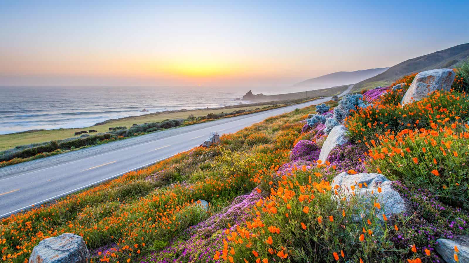 <p>Embark on a mesmerizing journey along California’s Pacific Coast Highway, stretching from Monterey to Morro Bay. This iconic route offers a stunning blend of rugged coastline, romantic beaches, and iconic landmarks like the Bixby Creek Bridge and Big Sur.</p><p>Stop at charming coastal towns, indulge in fresh seafood, and enjoy the sunset over the Pacific Ocean. Don’t miss the opportunity to explore the coastal redwoods in Julia Pfeiffer Burns State Park and the artist community of Carmel-by-the-Sea.</p>