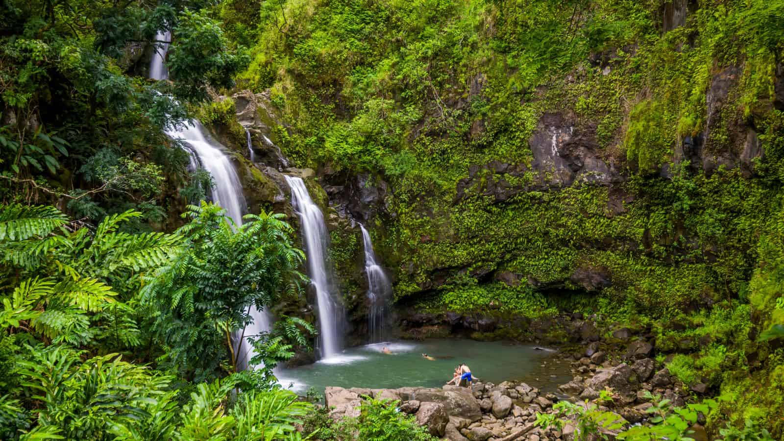 <p>Experience the tropical paradise of <a href="https://whatthefab.com/maui-itinerary.html" rel="follow">Maui</a> on the Hana Highway, a winding road offering waterfalls, lush rainforests, and panoramic ocean views. This 64-mile route stretches from Kahului to the town of Hana, passing through some of Maui’s most scenic landscapes.</p><p>Adventure to waterfalls like Wailua Falls and Ohe’o Gulch, <a href="https://whatthefab.com/best-hikes-in-maui.html" rel="follow">hike</a> through the lush rainforest of <a href="https://www.nps.gov/hale/index.htm" rel="nofollow external noopener noreferrer">Haleakalā National Park</a>, and enjoy the serenity of one of Hawaii’s most photo-worthy islands. The road has many <a href="https://whatthefab.com/best-beaches-in-maui.html" rel="follow">beaches</a> for swimming, snorkeling, and enjoying the natural beauty of this tropical paradise.</p><p>When trying to figure out <a href="https://whatthefab.com/where-to-stay-on-maui.html" rel="follow">where to stay in Maui</a> along your adventure, save money by opting for an <a href="https://whatthefab.com/airbnb-maui-hawaii-best-of-the-best.html" rel="follow">Airbnb</a> rather than one of the island’s many ritzy resorts.</p>
