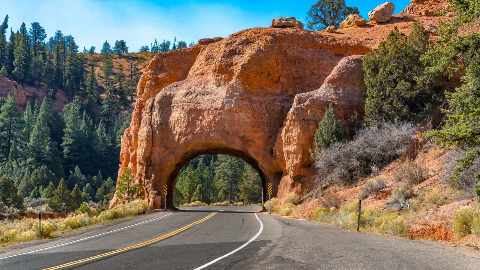 <p>Discover Utah’s diverse landscapes on Scenic Byway 12, which passes through Bryce Canyon, Grand Staircase-Escalante, and Capitol Reef <a href="https://whatthefab.com/national-parks-utah.html" rel="follow">National Parks</a>.</p><p>This 124-mile route offers breathtaking views of red rock canyons, towering rock formations, and stunning desert landscapes.</p><p>Spot wildlife such as bighorn sheep and mule deer and enjoy outdoor activities such as horseback riding, mountain biking, and rock climbing.</p><p>Along this route, stop at gorgeous overlooks like Bryce Point, Escalante Petrified Forest State Park, and the Anasazi State Park Museum.</p>