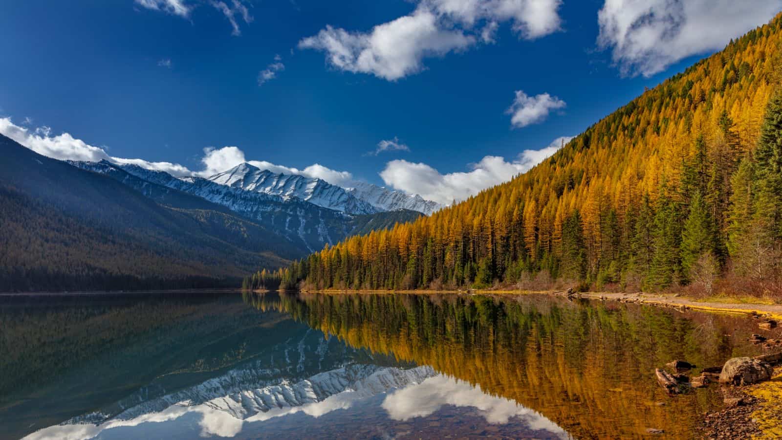 <p>Experience the beauty of Montana on The Great Northern, which offers views of Glacier National Park, Flathead Lake, and the Northern Rocky Mountains.</p><p>This 430-mile route takes you through some of Montana’s most stunning landscapes, including the Going-to-the-Sun Road in Glacier National Park, the quaint town of Whitefish, and the scenic shores of Flathead Lake.</p><p>Spot wildlife such as grizzly bears and elk and enjoy outdoor activities such as fishing, boating, and wildlife viewing. The Great Northern is best embarked on in the summer and early fall when the wildflowers are in bloom, creating a colorful landscape.</p>