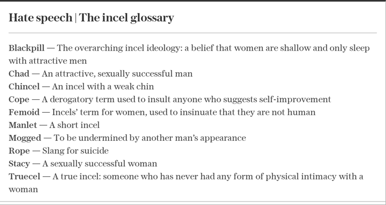 Men who hate women: how ‘incel’ culture became mainstream