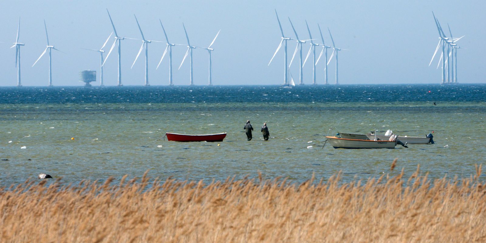 fiskare: vindkraften måste anpassa sig till fisket