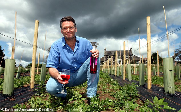 global warming means scotland could be new wine-growing hotspot!