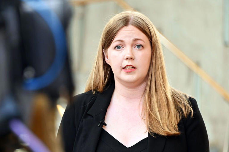 Scottish Greens MSP Gillian Mackay introduced her members bill at Holyrood last year